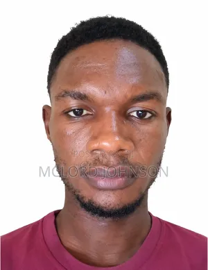 Mr Johnson Darko David