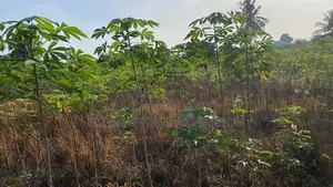 Urgent Land for Sale