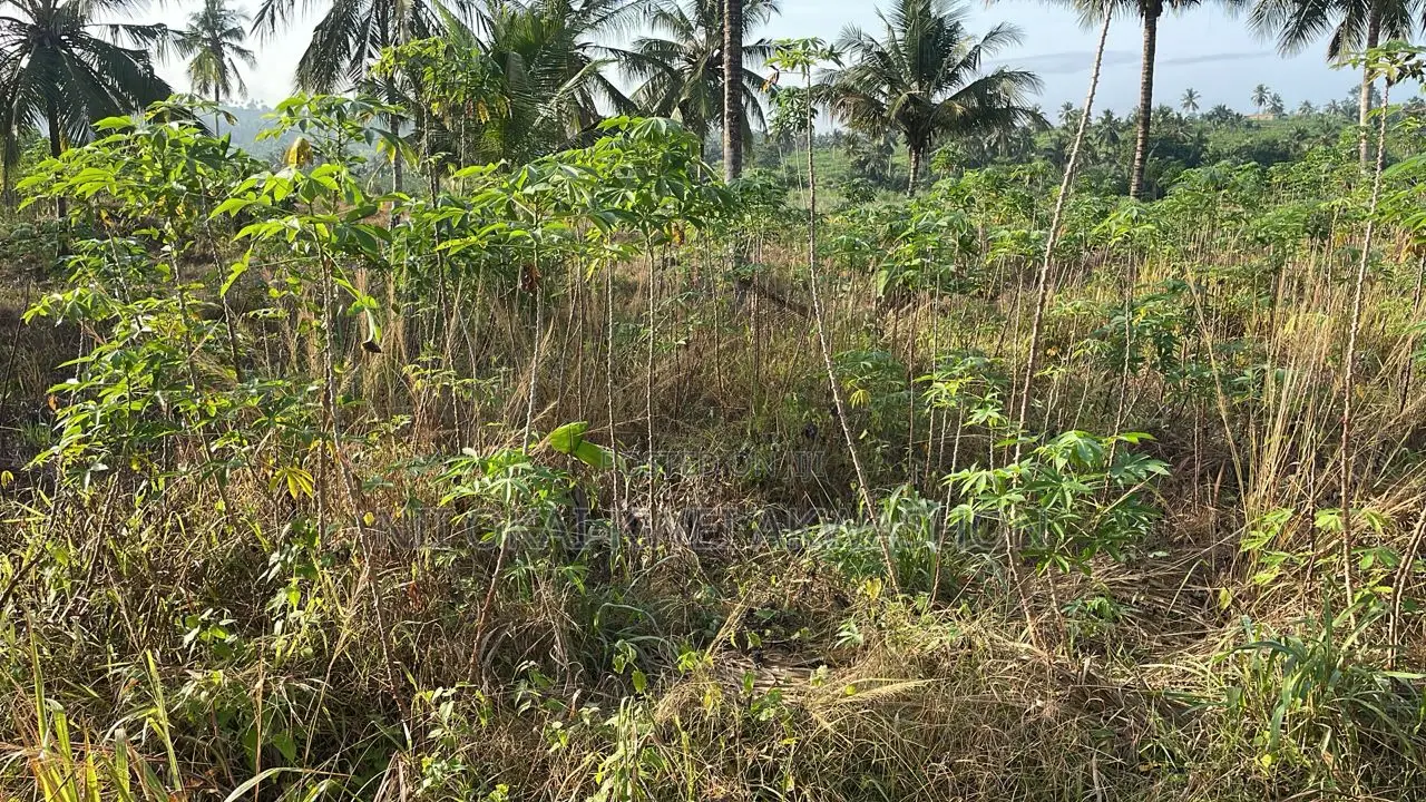 Urgent Land for Sale