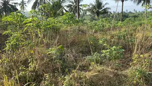 Urgent Land for Sale