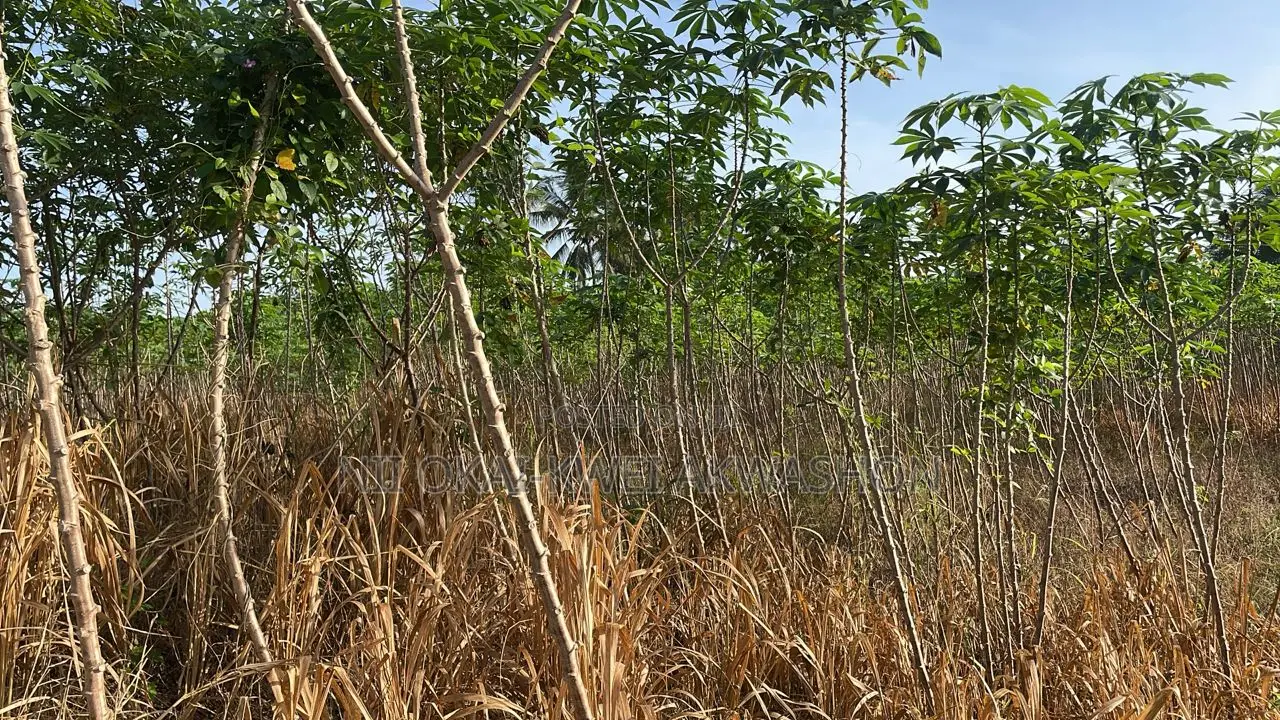 Urgent Land for Sale