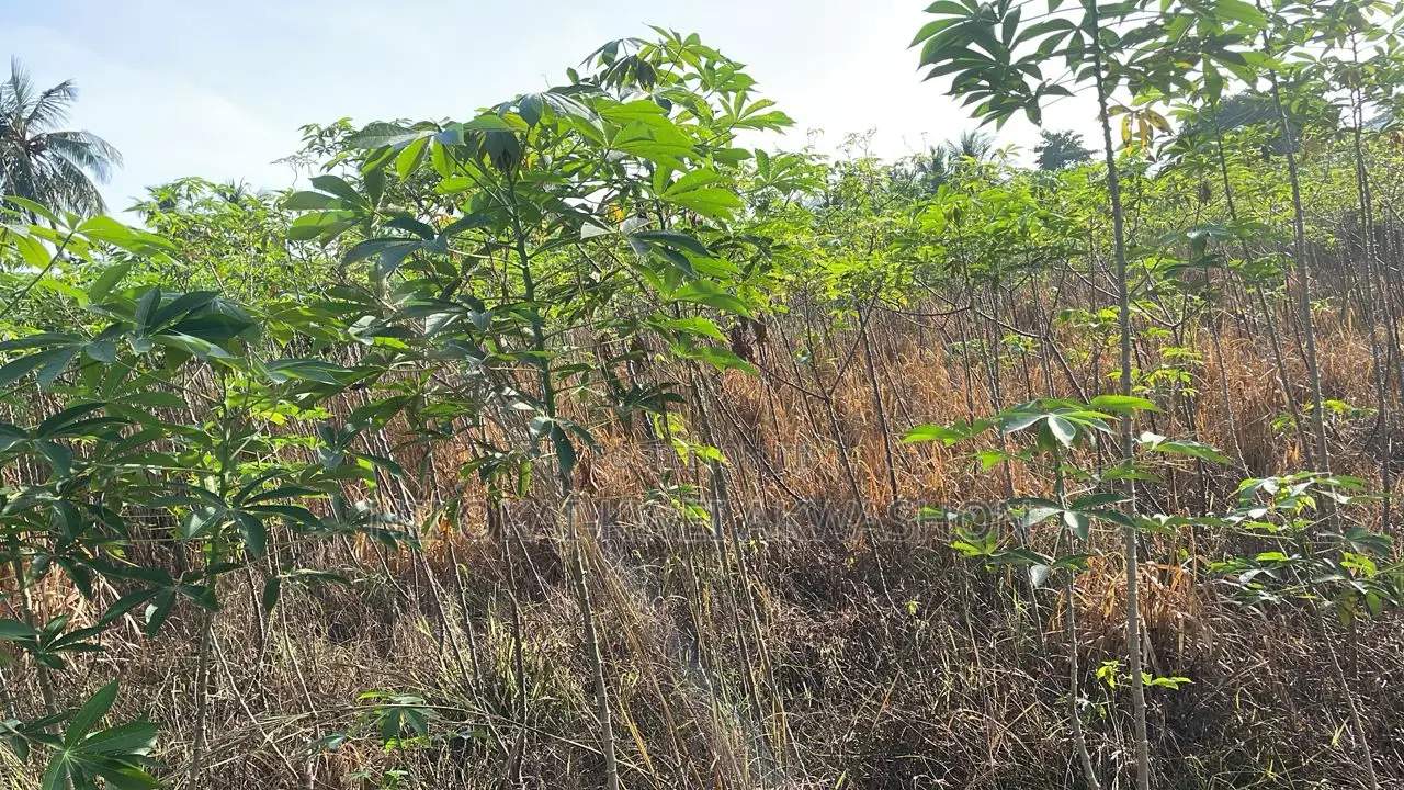 Urgent Land for Sale