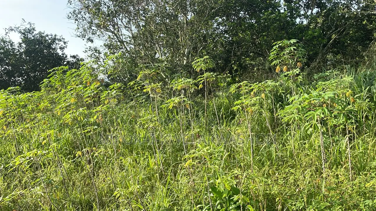 Urgent Land for Sale