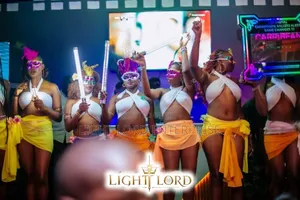 Bombay Night Lef Light