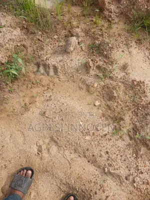 One Plot of Land for Sale at Afienya-Mormole
