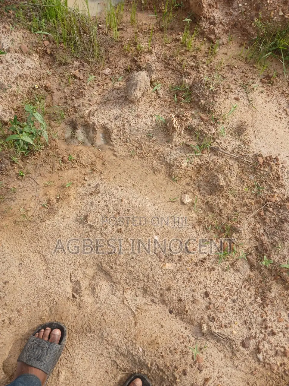 One Plot of Land for Sale at Afienya-Mormole