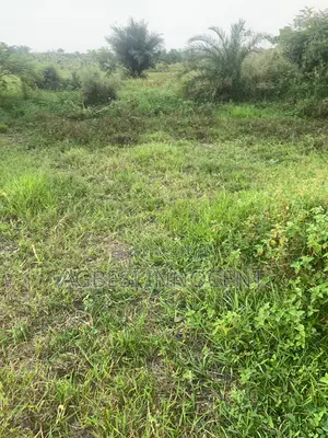 One Plot of Land for Sale at Afienya-Mormole