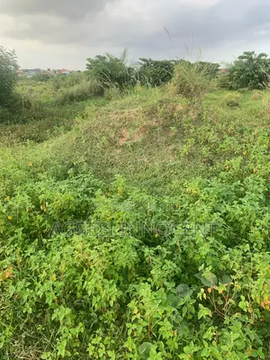 One Plot of Land for Sale at Afienya-Mormole