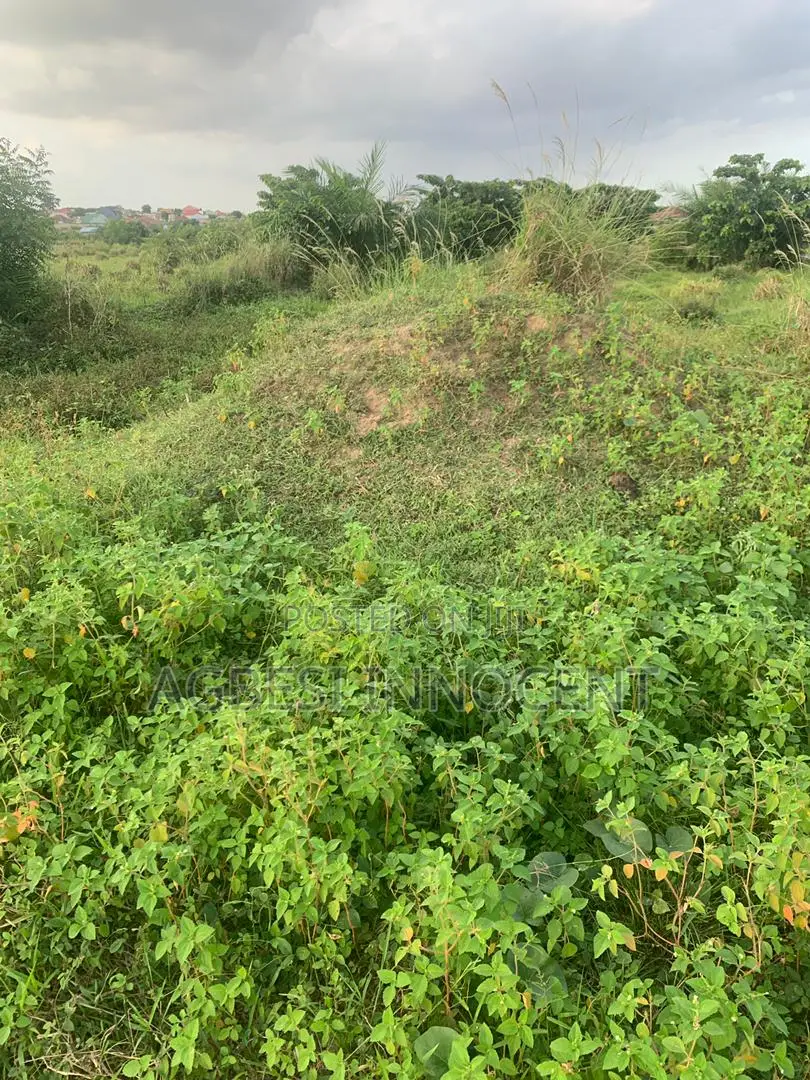 One Plot of Land for Sale at Afienya-Mormole