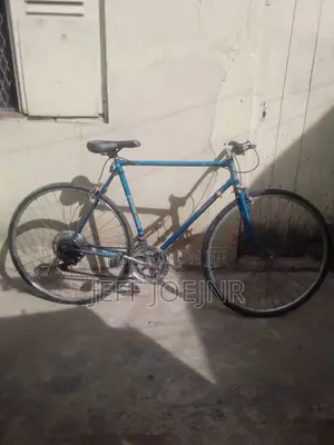 Bicycle Blue