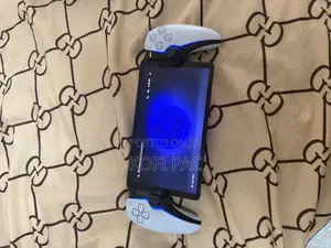 Ps 5 Portal