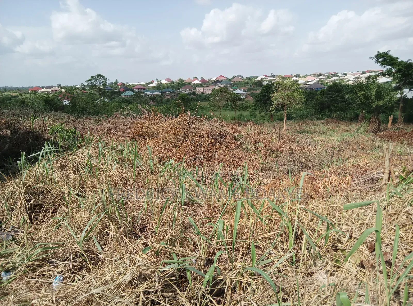 Plot of Land for Sale at Abuakwa Tabire