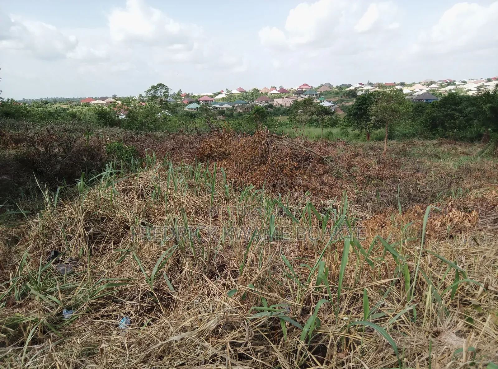 Plot of Land for Sale at Abuakwa Tabire