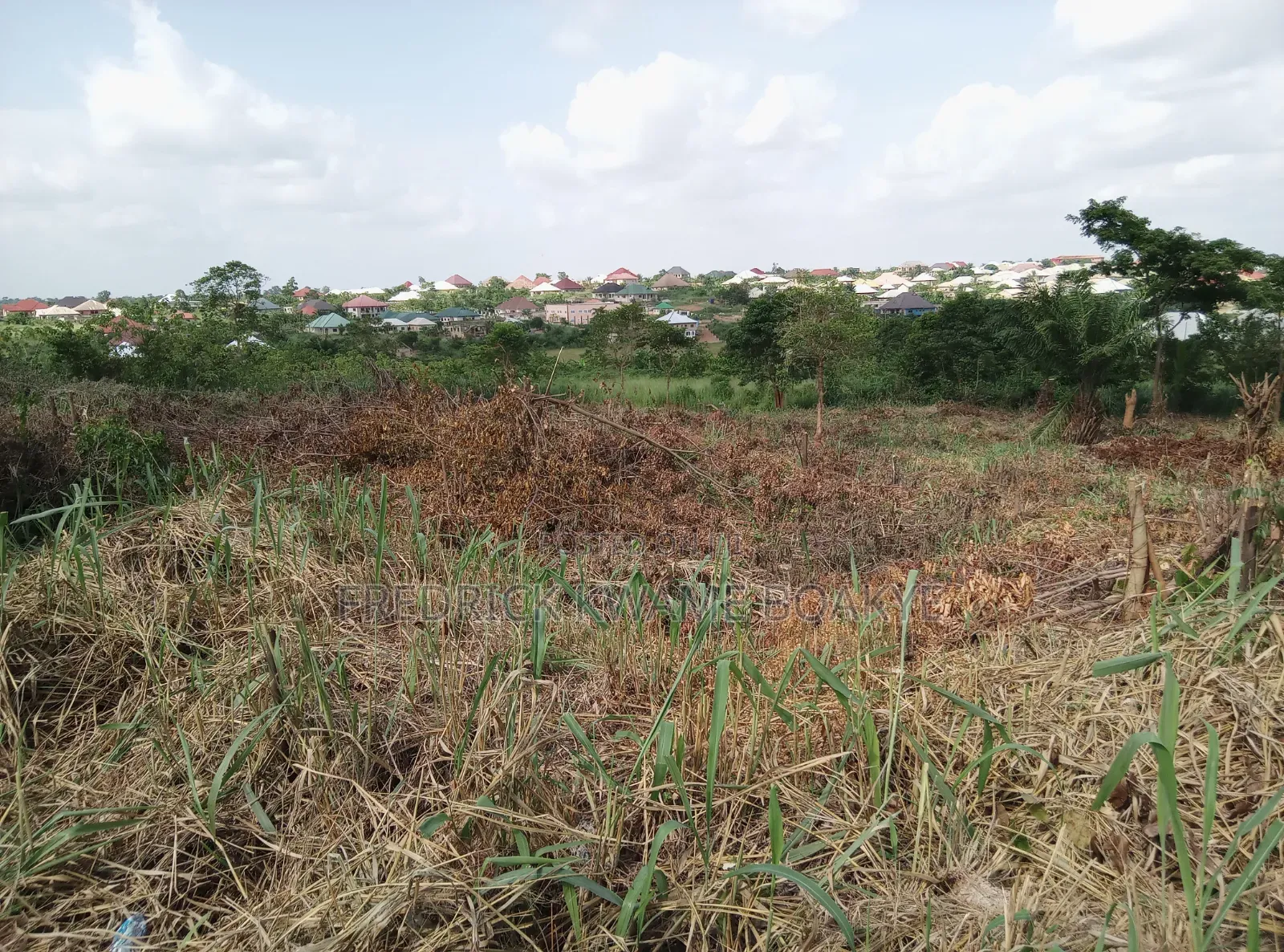 Plot of Land for Sale at Abuakwa Tabire