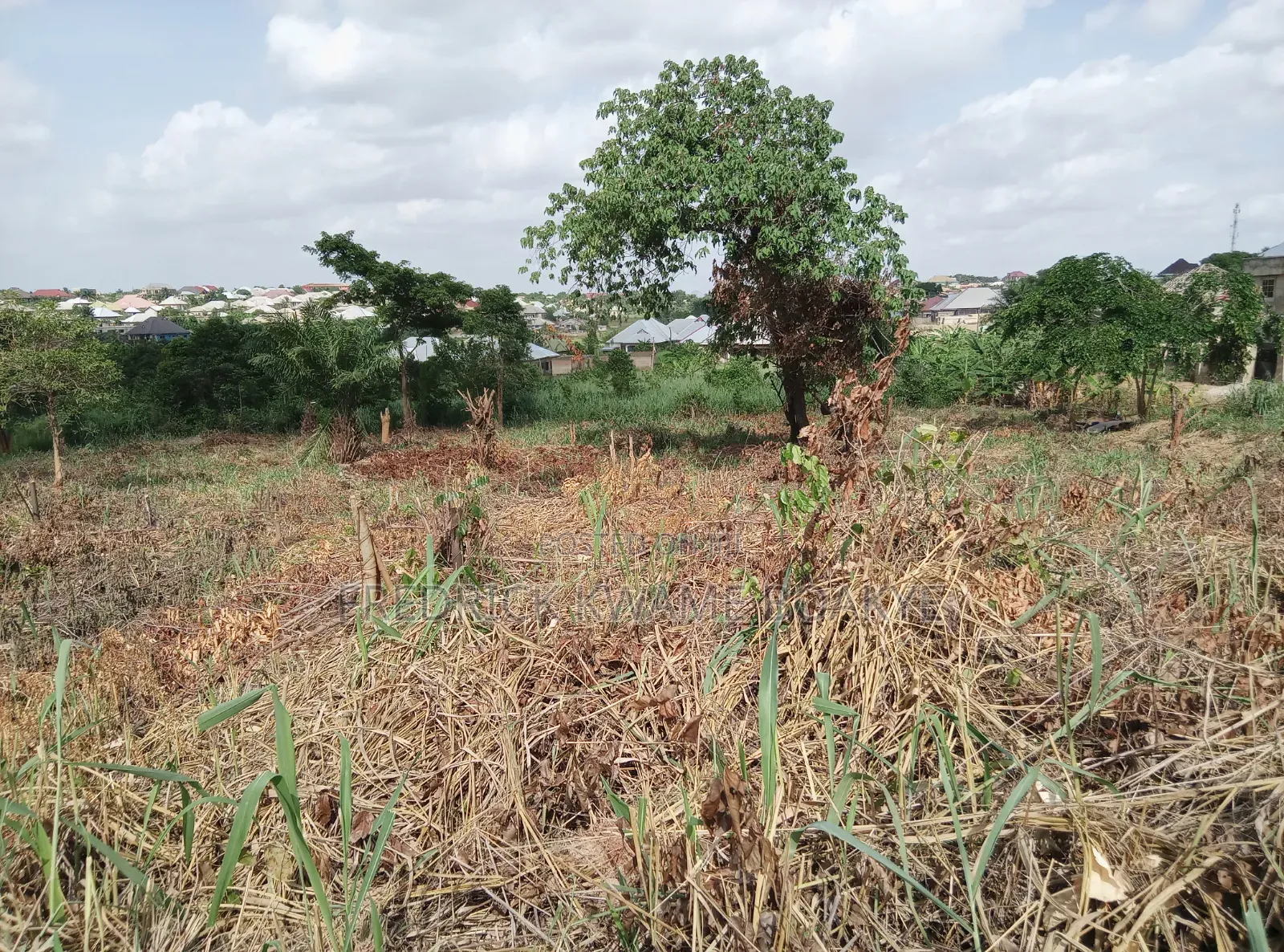 Plot of Land for Sale at Abuakwa Tabire