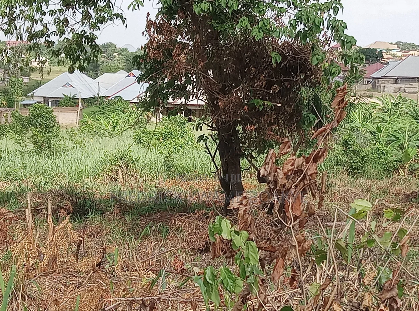 Plot of Land for Sale at Abuakwa Tabire