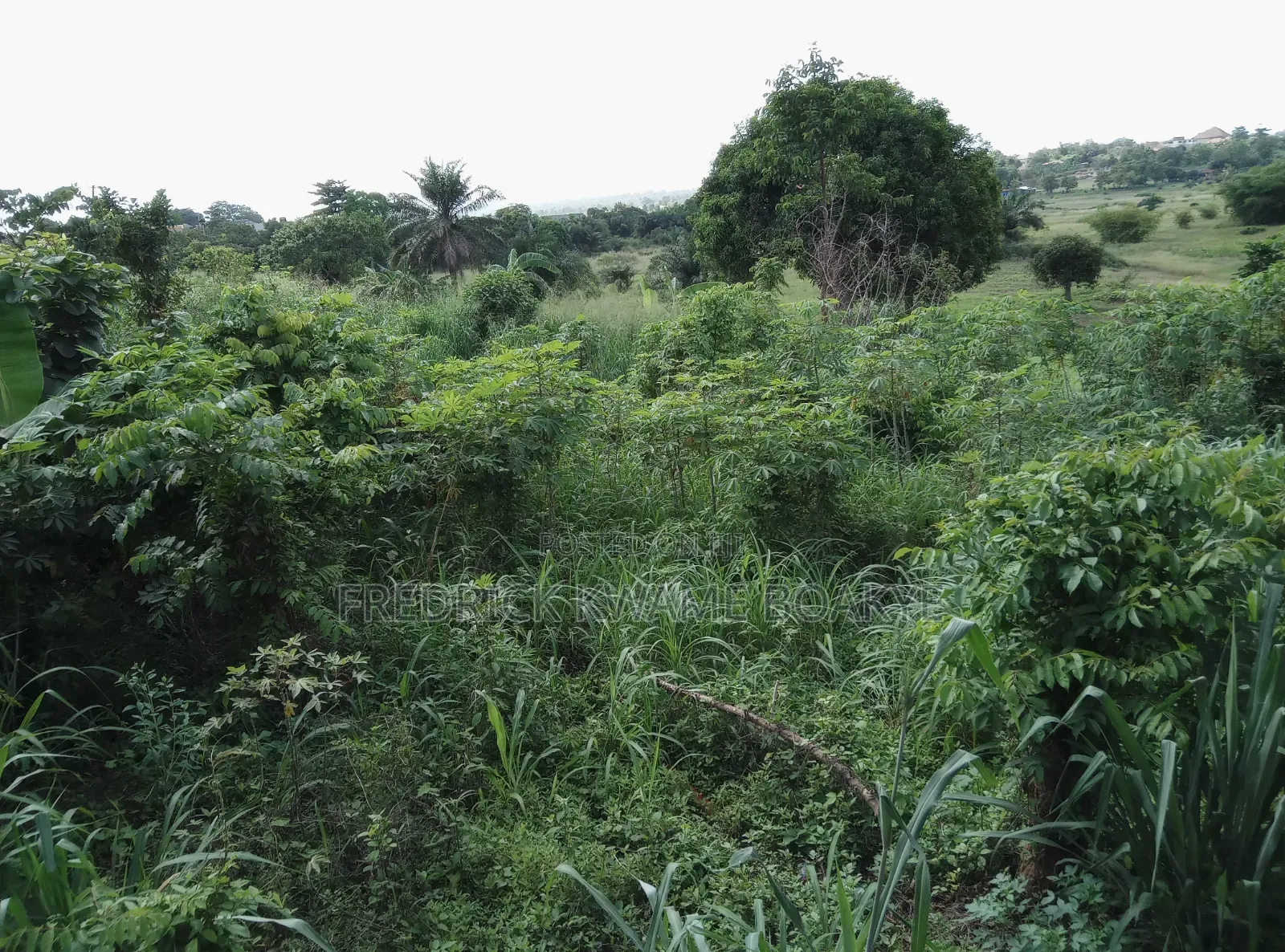 Business Land for Sale at Abuakwa Tabire