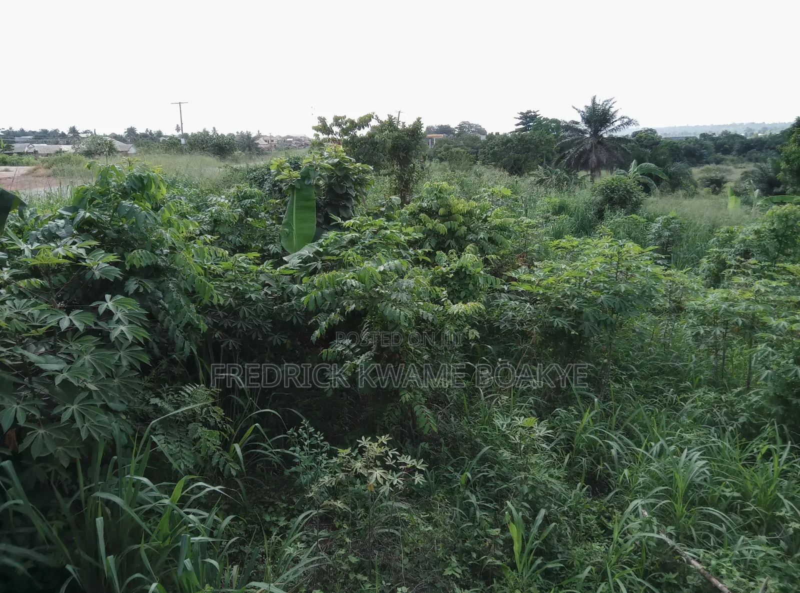 Business Land for Sale at Abuakwa Tabire