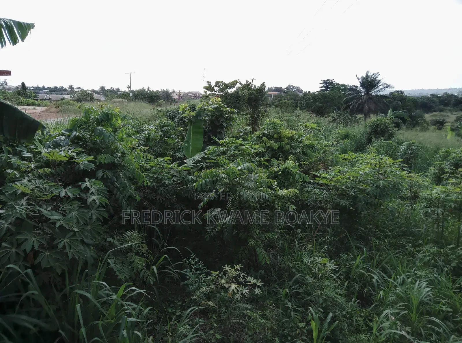 Business Land for Sale at Abuakwa Tabire