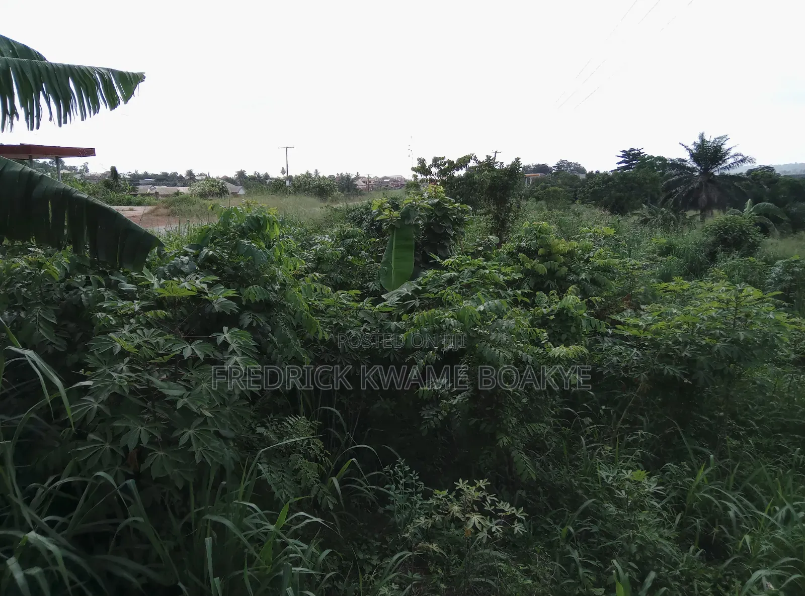 Business Land for Sale at Abuakwa Tabire