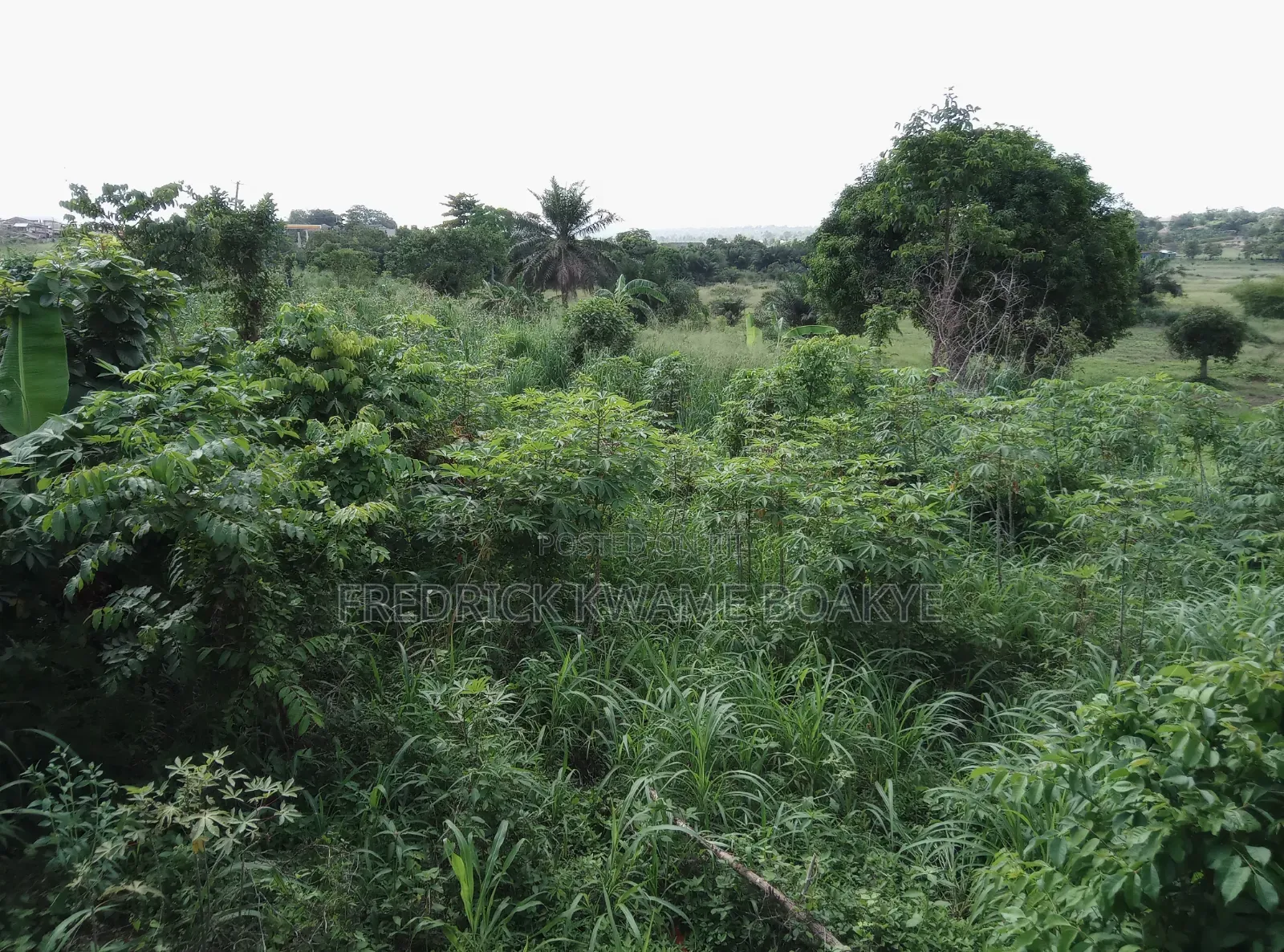 Business Land for Sale at Abuakwa Tabire