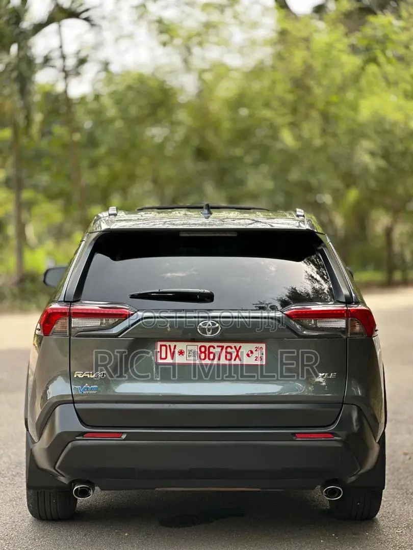 Toyota RAV4 2020 Gray