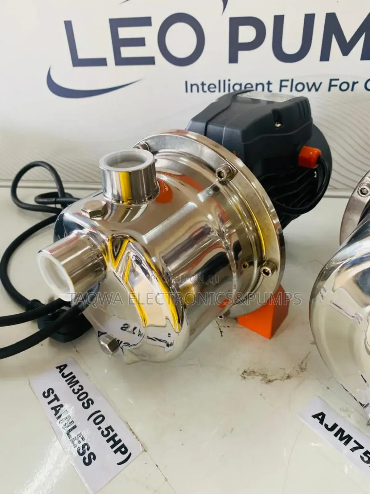 0. 5 Hp Stainless Leo Water Pump