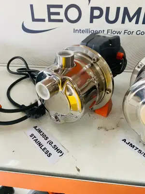 True Stainless 0.5hp Ajm30s Leo Water Pump