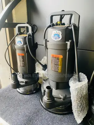 Withstanding Rio Sewage Pump 1hp