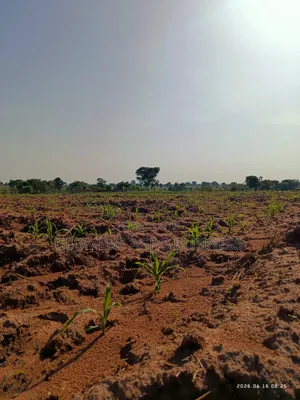 Bioensure Seed Treatment Inoculant