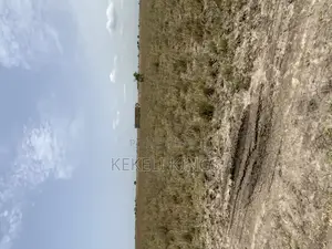 New Airport City, Prampram-Tsopoli Presents Affordable Estate Plots