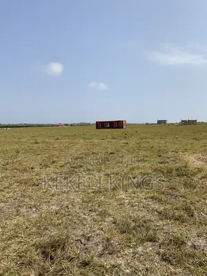 Get Genuine Estate Plots at New Airport City in a Calm Environment