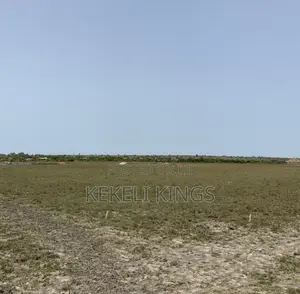 Own a Genuine Plot at New Airport City in Prampram-Tsopoli Today