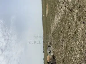 Own a Genuine Plot at New Airport City in Prampram-Tsopoli Today