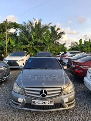 Mercedes-Benz C250 2014 Gray