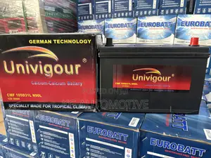 17 Plate Battery