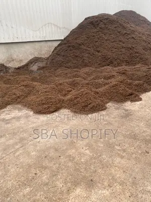 Palm Kernel Shells