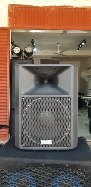 Pacive Audio Speakers Pair