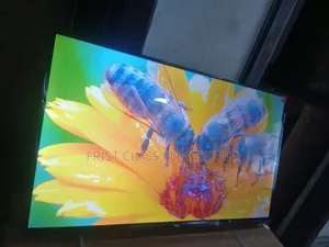 TCL Smart Tv Color That Makes Animation Pop