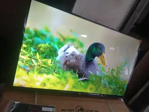 TCL Smart Tv Beauty That Blends With Any Decor