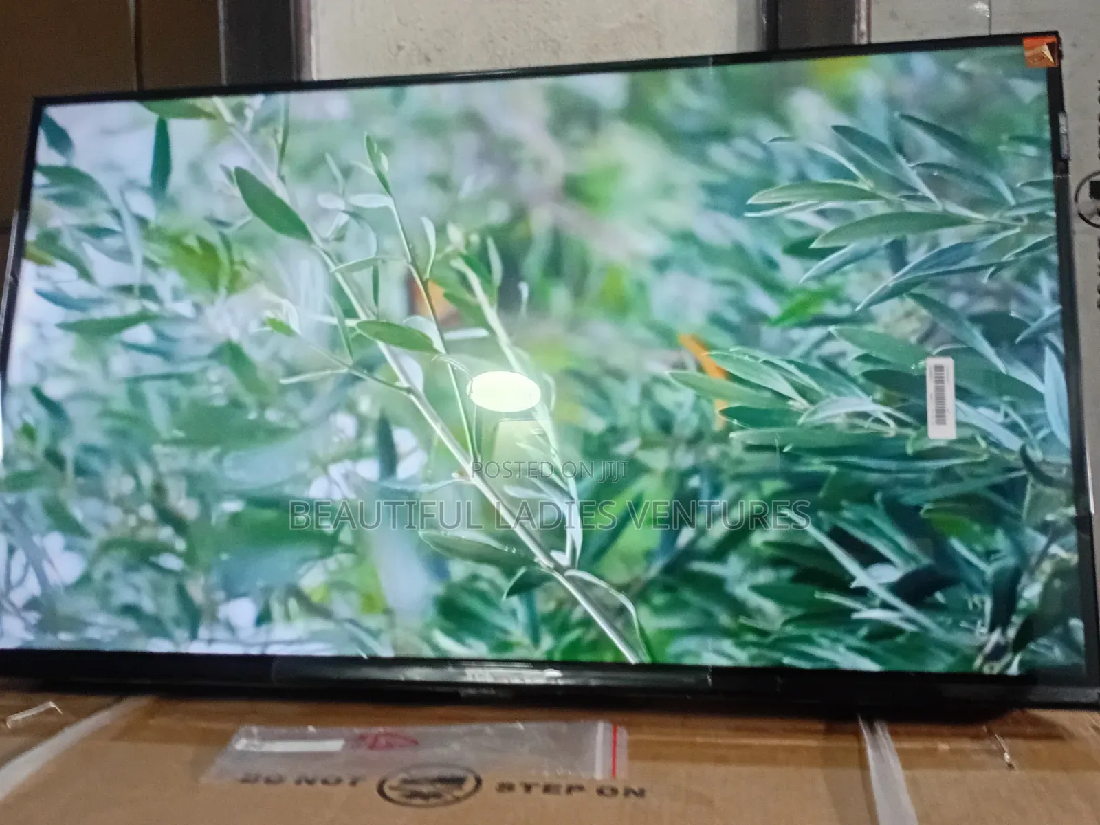 TCL 32” Tv With Rich Audio and Vivid Colors
