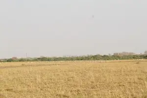 Prampram Airport City Lands for Sale (Genuine Plots) * -