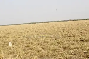 Prampram Airport City Lands for Sale (Genuine Plots) * -