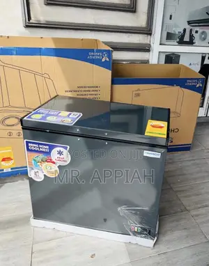 Buy Premium Nasco 316l 1 Door Electric Chest Freezer(Nas425fl)Gray.