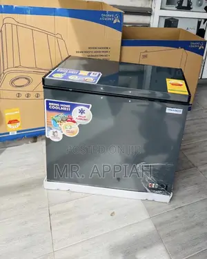 Lovely Design Nasco Single Door Electric Chest Freezer(Nas425fl) 