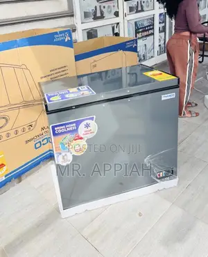 Buy Authentic Nasco 1 Door Electric Chest Freezer(Nas425fl)Gray 