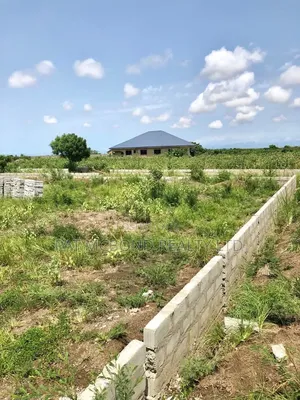 Buy Genuine Land Without Stress at Afienya
