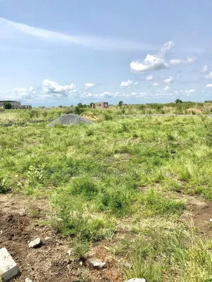 Buy Genuine Land Without Stress at Afienya