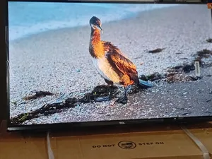 TCL 32-Inch Slim Screen Television – Stylish Compact