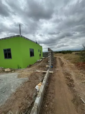 Secure a Fully Documented Plot Today at Afienya